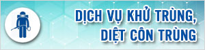 Dịch vụ khử trùng, diệt côn trùng